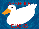 Asshole Ducks